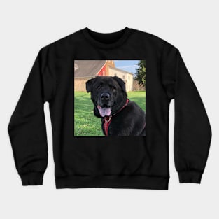 I’d rather be home with Bear Crewneck Sweatshirt